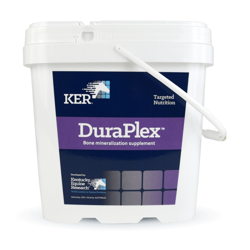 DuraPlex bone mineraliztion supplement for horses