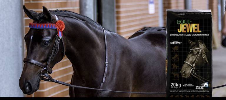 KER Equi-Jewel stabilised rice bran