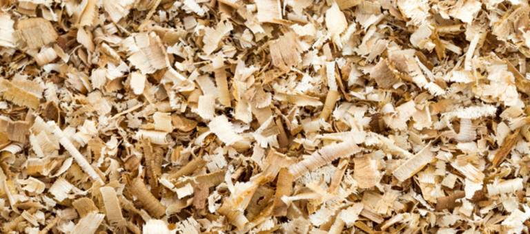 Wood shavings for horse bedding