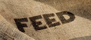 Burlap feed sack
