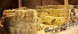 Hay bales stacked in loft