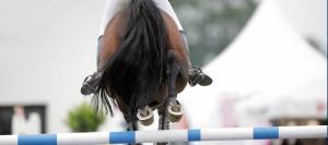 Show jumper clearing fence