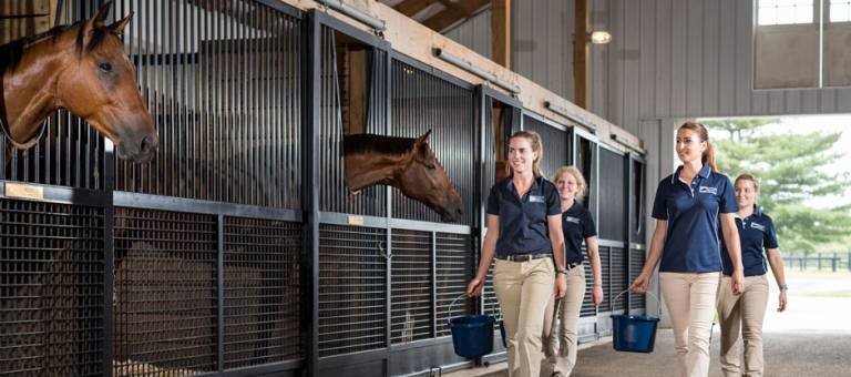 KER Interns walking down the barn aisle at feeding time
