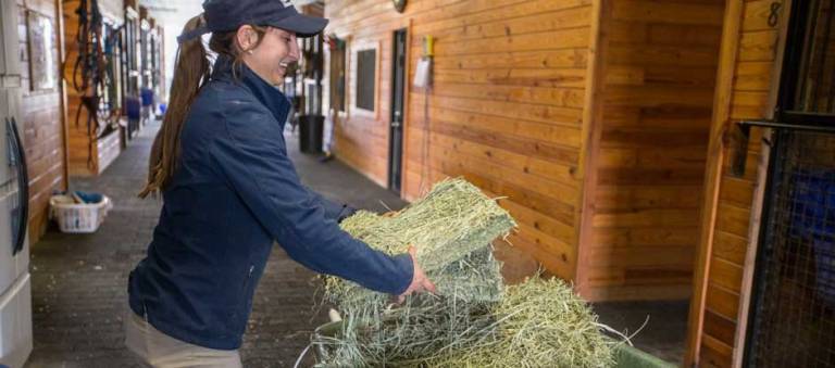 KER intern picking up a flake of hay in the barn aisle from a hay wagon.