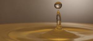 Vegetable oil for horses