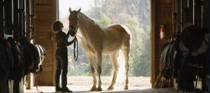 Woman in barn aisle with senior horse