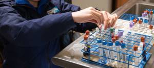 Close up photo of a woman organizing samples in a lab.