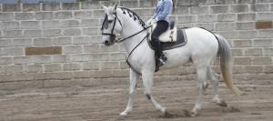 Side profile of a teenage girl riding a horse