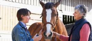 Vet In Discussion With Horse Owner