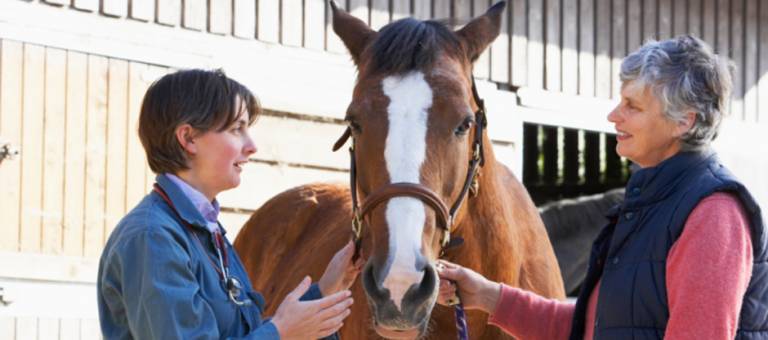 Vet In Discussion With Horse Owner