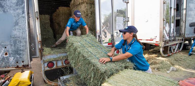 Loading alfalfa bale WEG 2018