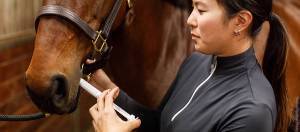 Woman giving a horse dewormer paste.