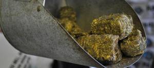 Hay cubes in scoop