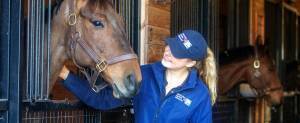 Equine nutrition research internships