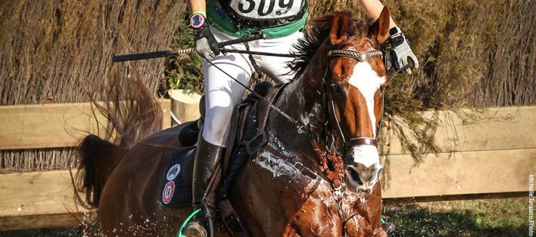 Close-up photo of Kirby Park Impress, ridden by Megan Jones, galloping on cross-country.
