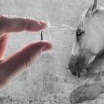thumnail