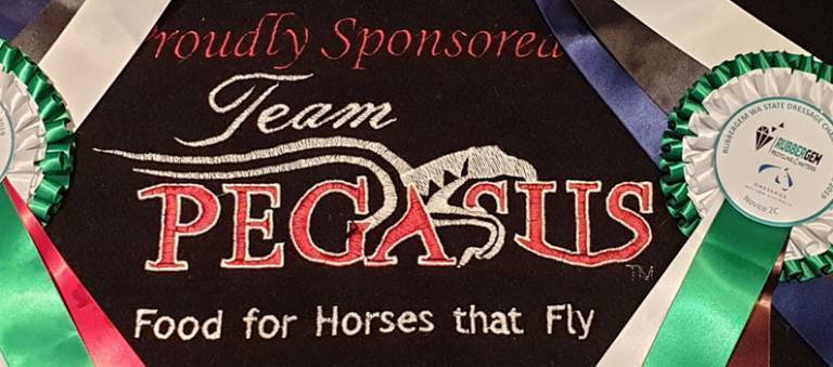 Team Pegasus cooler with ribbons displayed on top