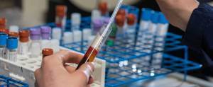 Equine nutrition research studies