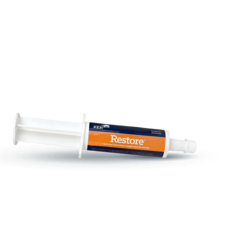 Restore paste electrolyte supplement for horses
