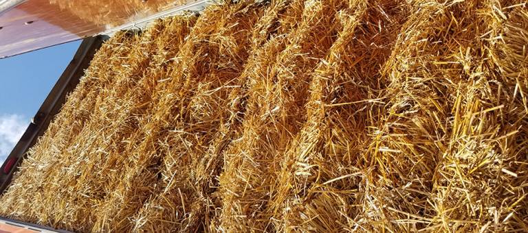 WEG Straw Bales