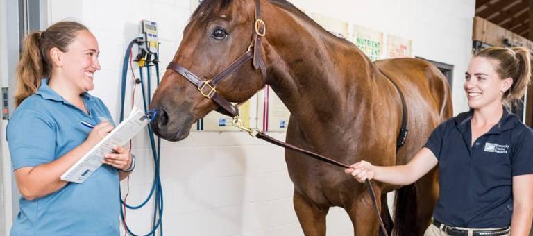 Horse sniffing a woman holding a clipboard while standing on a scale to record weight.