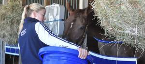 Woman feeding a horse in a stall