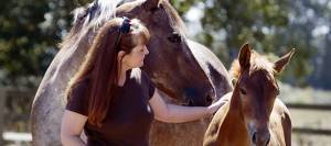 Horse owner with mare and foal