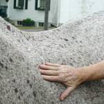 thumnail