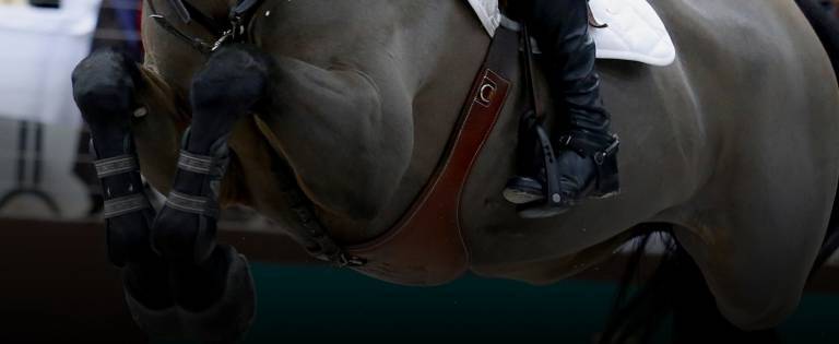 Nano E antioxidant for horses